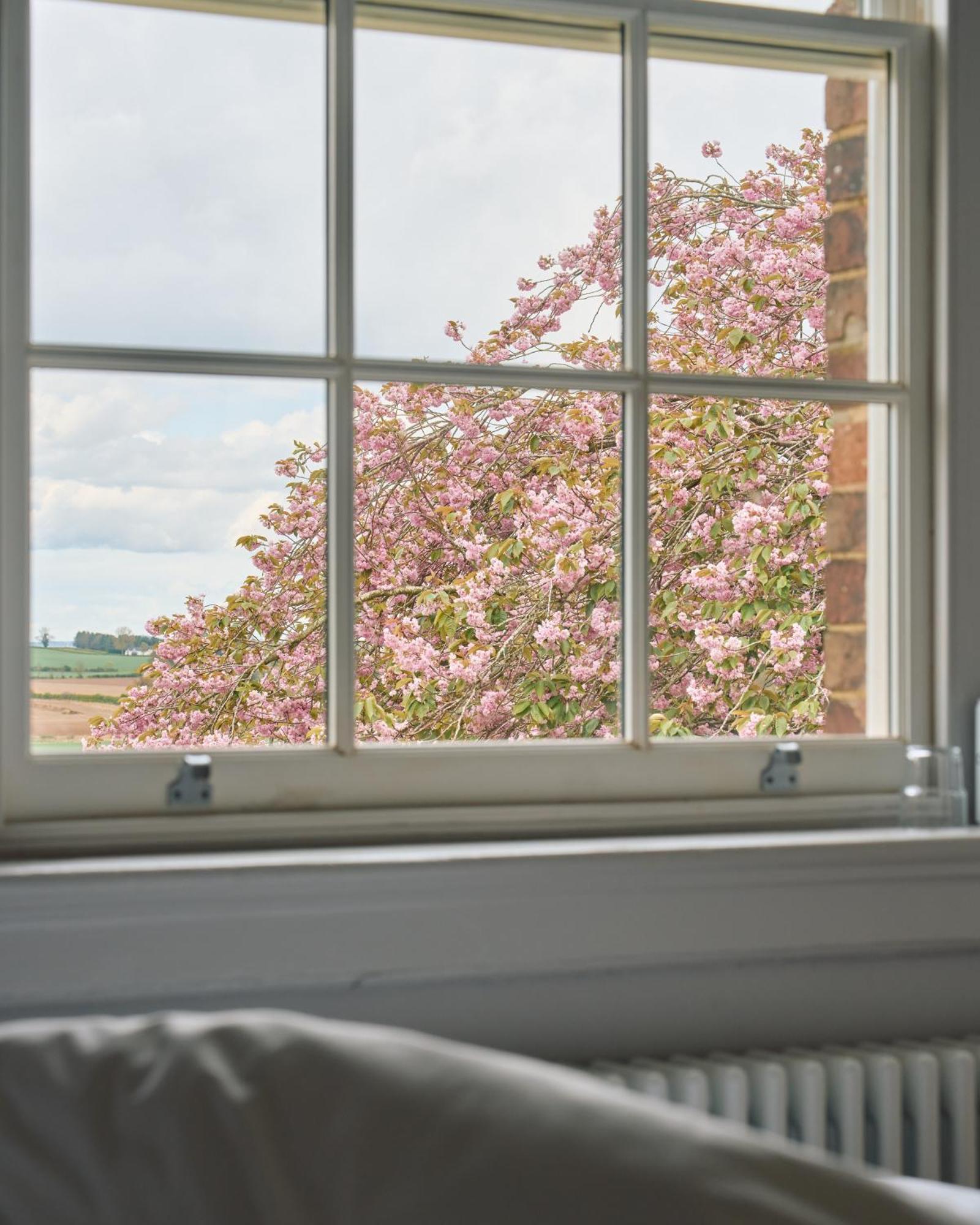 Constantine House Hotel Tamworth Bagian luar foto